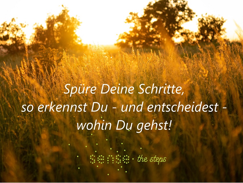 sense the steps de_spüre Deine Schritte_klein